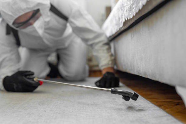 Professional Bed Bug Control technician working in James City County County, VA